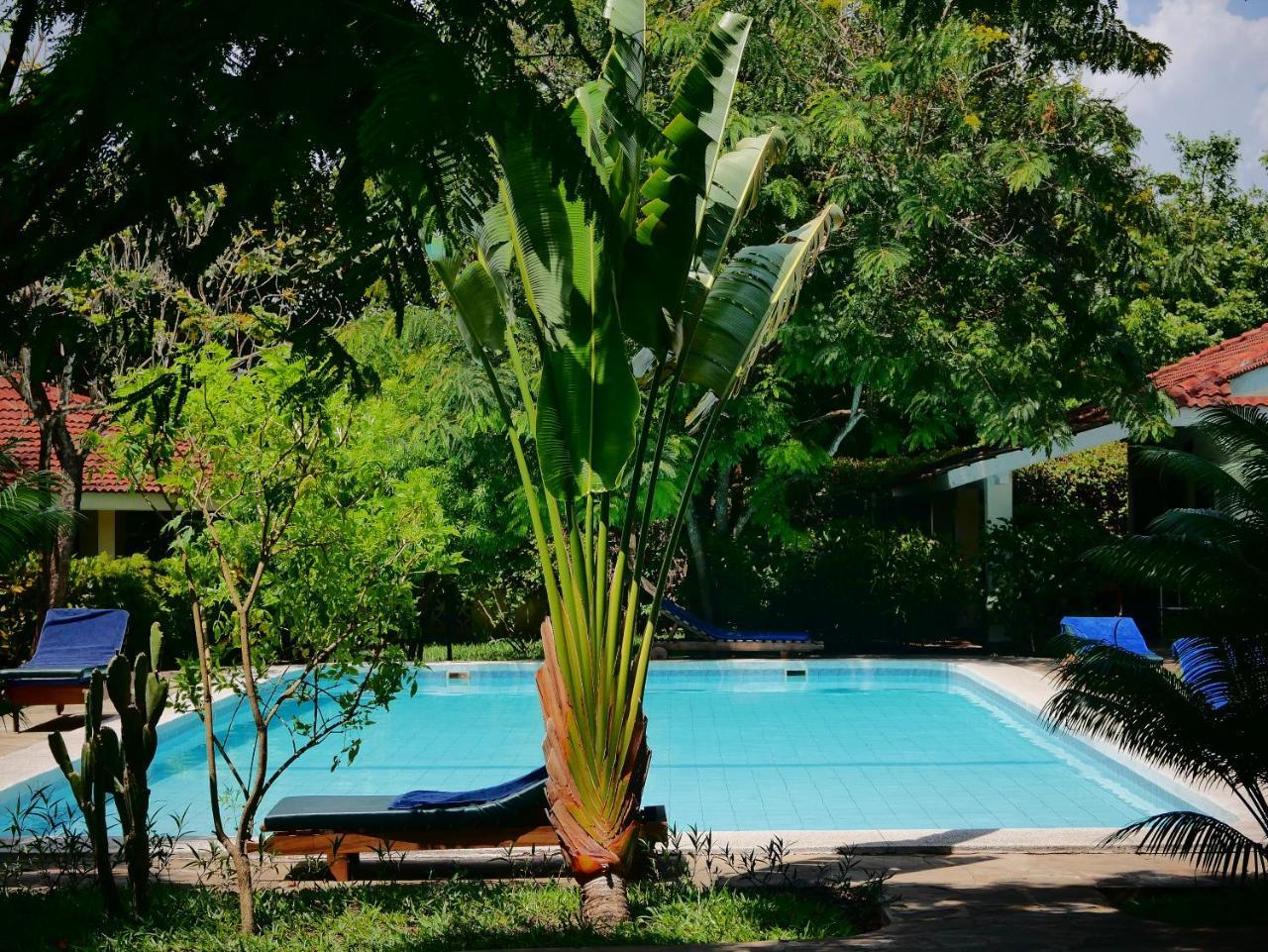 Diani Cottages Diani Beach Εξωτερικό φωτογραφία